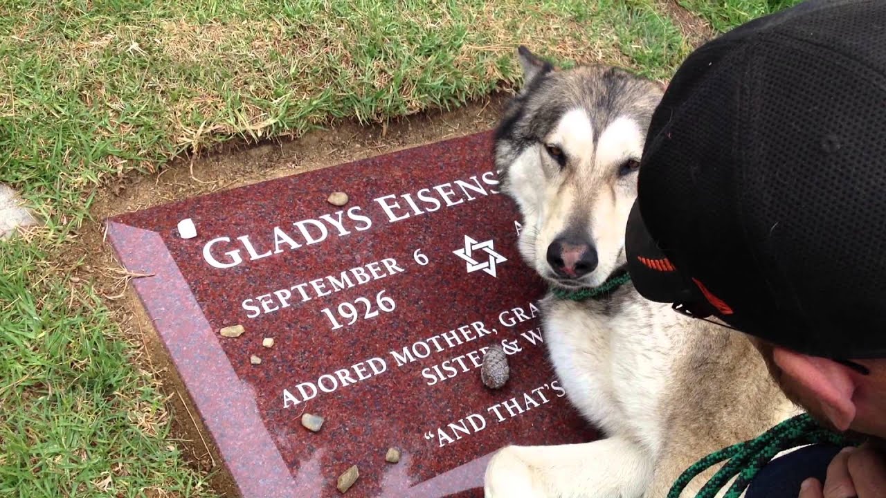 Dog Cries at Owner'S Grave